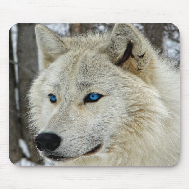 Mousepad Azul branco tapete do rato ártico Eyed do lobo da (Frente)