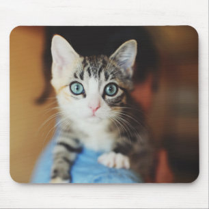 Mousepad Azul brilhante gatinho Eyed