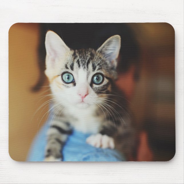 Mousepad Azul brilhante gatinho Eyed (Frente)