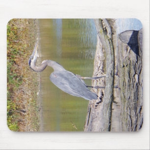 Mousepad azul da garça-real