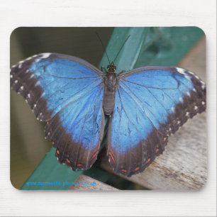 Mousepad Azul Elétrico