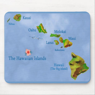 Mousepad azul-havaiano