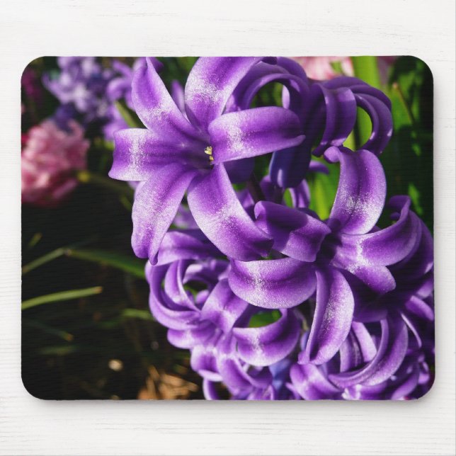 Mousepad Azul Hyacinth II Primavera Floral (Frente)
