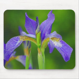 Mousepad Azul Iris