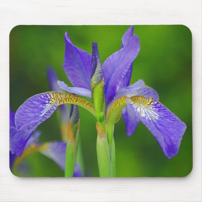 Mousepad Azul Iris (Frente)