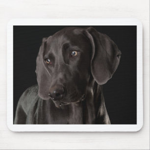 Mousepad Azul o Weimaraner
