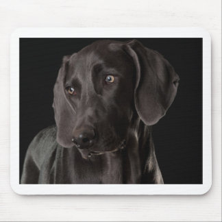 Mousepad Azul o Weimaraner