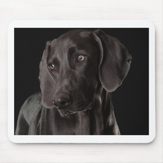 Mousepad Azul o Weimaraner (Frente)