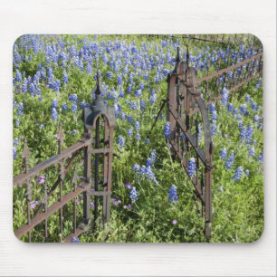 Mousepad Azulbonetes e flox em torno do portão do cemitério