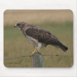 Mousepad B10 Swainson's Hawk