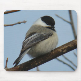 Mousepad B21 Chapim-de-cabeça-preta
