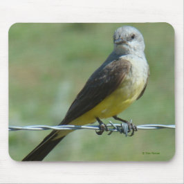 Mousepad B32 Papa-Figuras-Ocidental