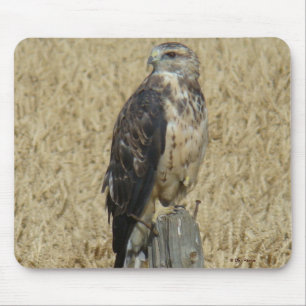 Mousepad B36 Falcão Ferrugíneo em Campo de Trigo