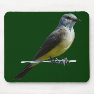 Mousepad B45 Western Kingbird