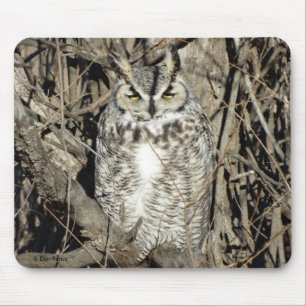 Mousepad B51 Coruja Buraqueira