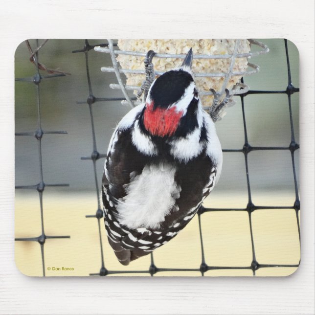 Mousepad B53 Pica-Pau (Frente)