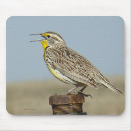 Mousepad B6 Meadowlark ocidental