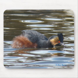 Mousepad B8 Eared Grebe Cortejando