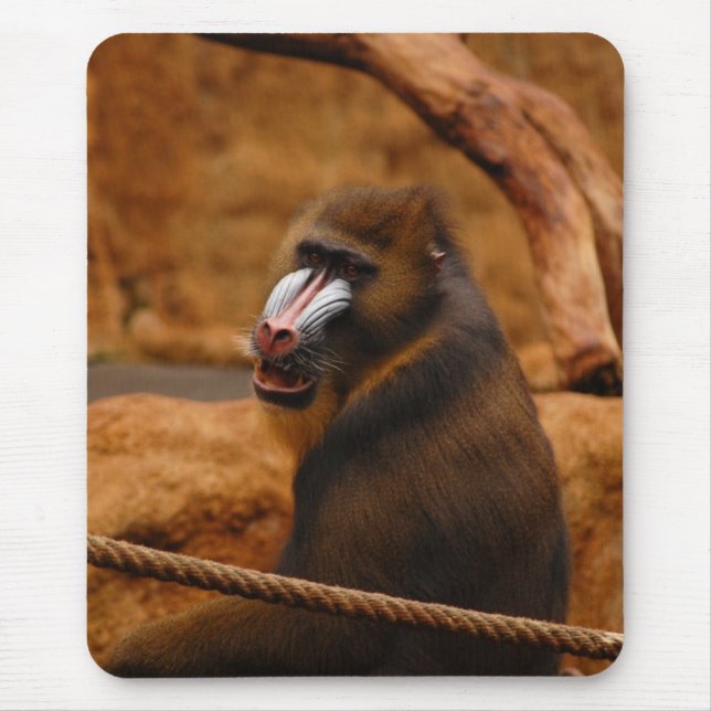 Mousepad Babuíno (Frente)
