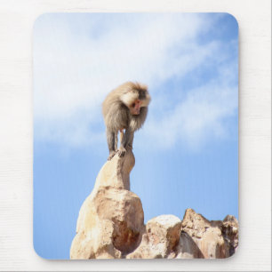Mousepad Babuíno no topo de uma montanha