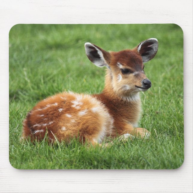 Mousepad Baby Antelope (Frente)