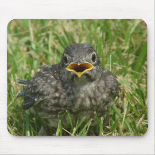 Mousepad Baby Bluebird