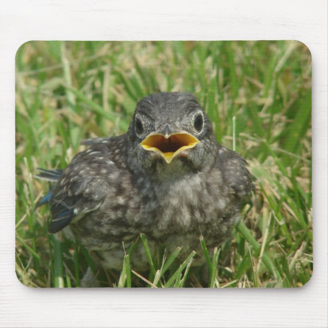 Mousepad Baby Bluebird (Frente)