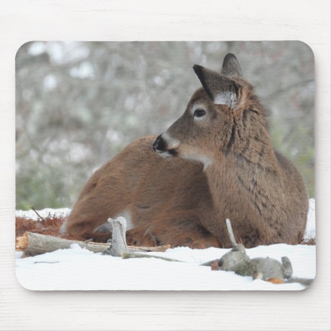 Mousepad Baby Deer na Casaco de inverno (Frente)