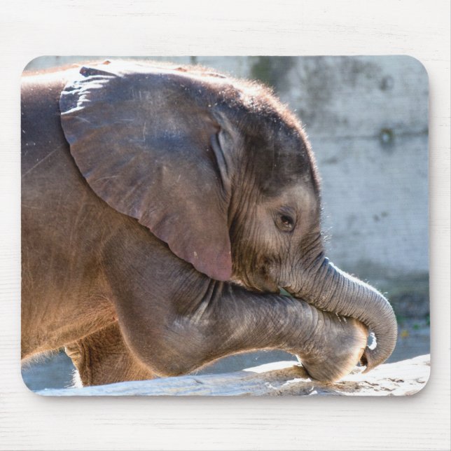 Mousepad Baby Elephant (Frente)