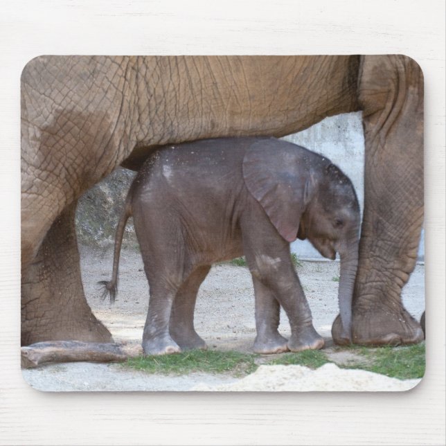 Mousepad Baby Elephant (Frente)