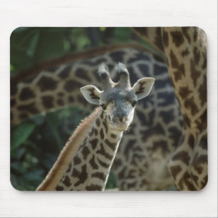 Mousepad Baby Giraffe