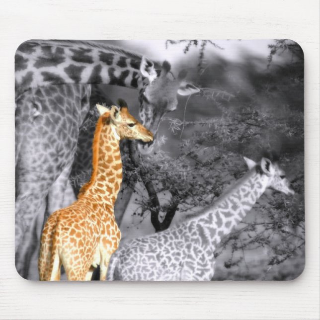 Mousepad Baby Giraffe (Frente)