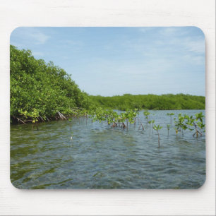 Mousepad Baby Mangrove Trees no Caribe