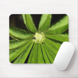 Mousepad Baby Palm Plant por Shirley Taylor