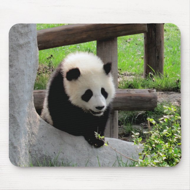 Mousepad Baby Panda (Frente)
