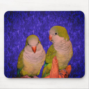 Mousepad Baby Quaker Parrots Animal