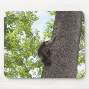 Mousepad Baby Raccoon