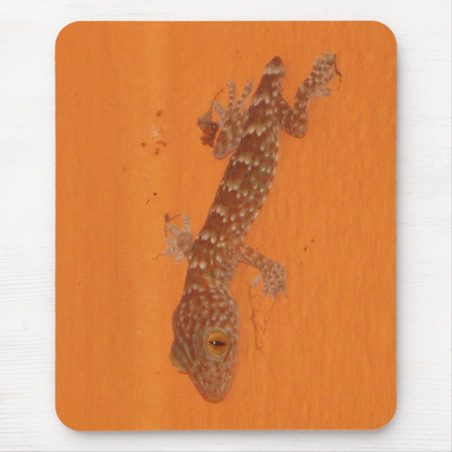 Mousepad Baby Tokay Gecko (Frente)