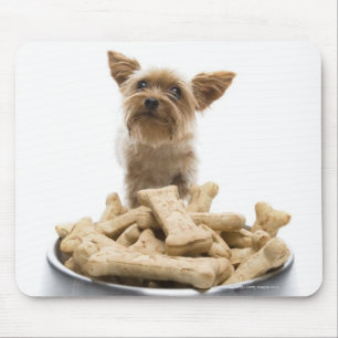 Mousepad Bacia de deleites do cão pelo yorkshire terrier