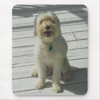 Mousepad Bailey o cão bonito na plataforma