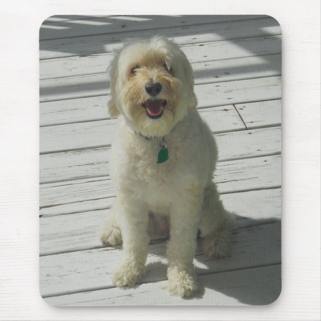 Mousepad Bailey o cão bonito na plataforma (Frente)
