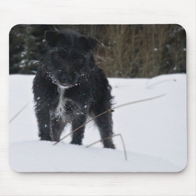 Mousepad Bailey o Patterdale Terrier (Frente)