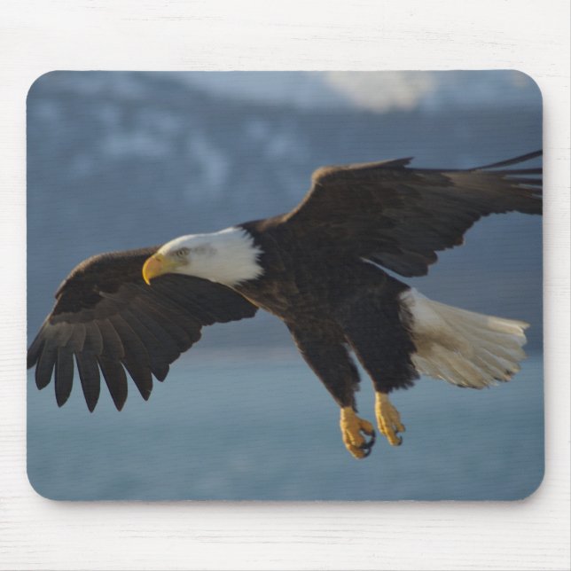 Mousepad Bald Eagle (Frente)