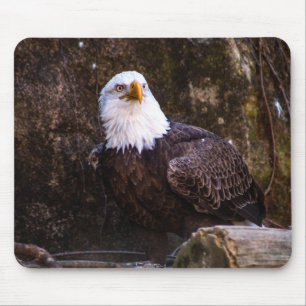 Mousepad Bald Eagle
