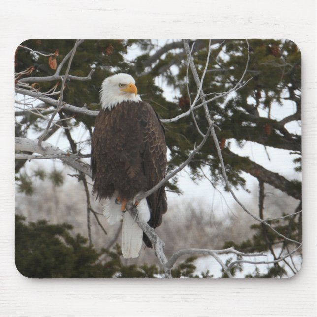 Mousepad Bald Eagle (Frente)