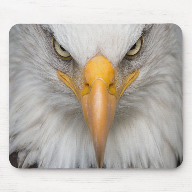 Mousepad Bald Eagle (Frente)