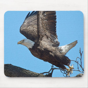 Mousepad Bald Eagle decolando