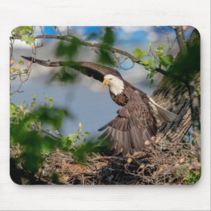 Mousepad Bald Eagle deixando o ninho