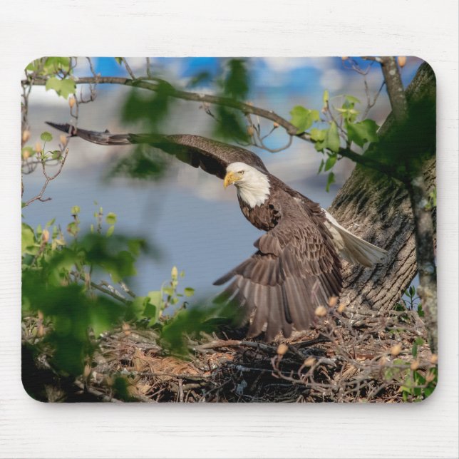 Mousepad Bald Eagle deixando o ninho (Frente)