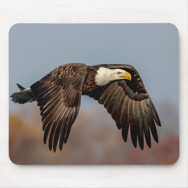 Mousepad Bald Eagle em voo (Frente)